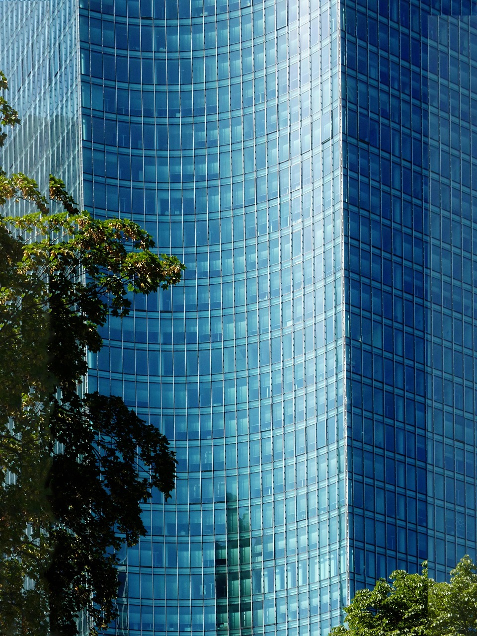 Капитальный ремонт спортивных клубов в Москве